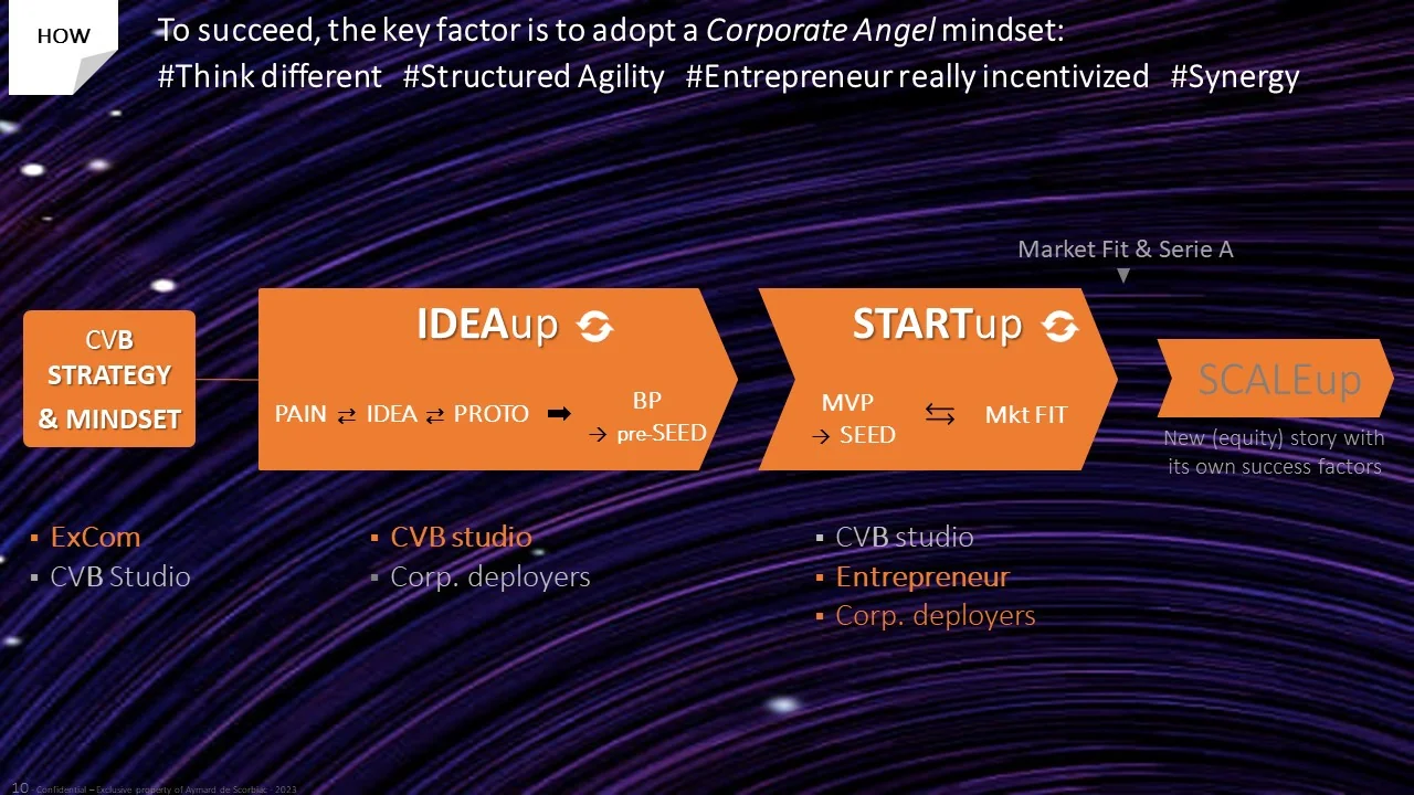 Slide “How”: the IDEAup, STARTup and SCALEup stages and their players
