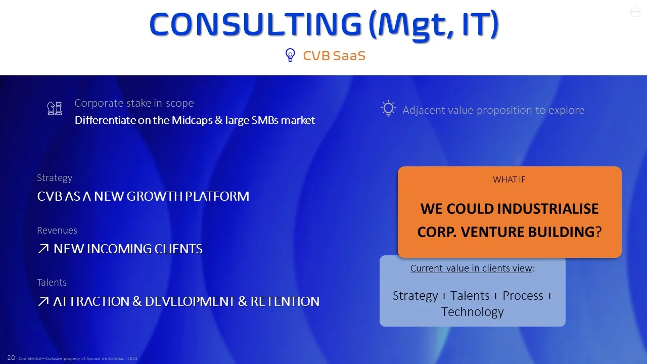 Appendix slide “Consulting (Mgt, IT)” (CVB SaaS): the group’s challenge, strategy and adjacent value proposition to explore