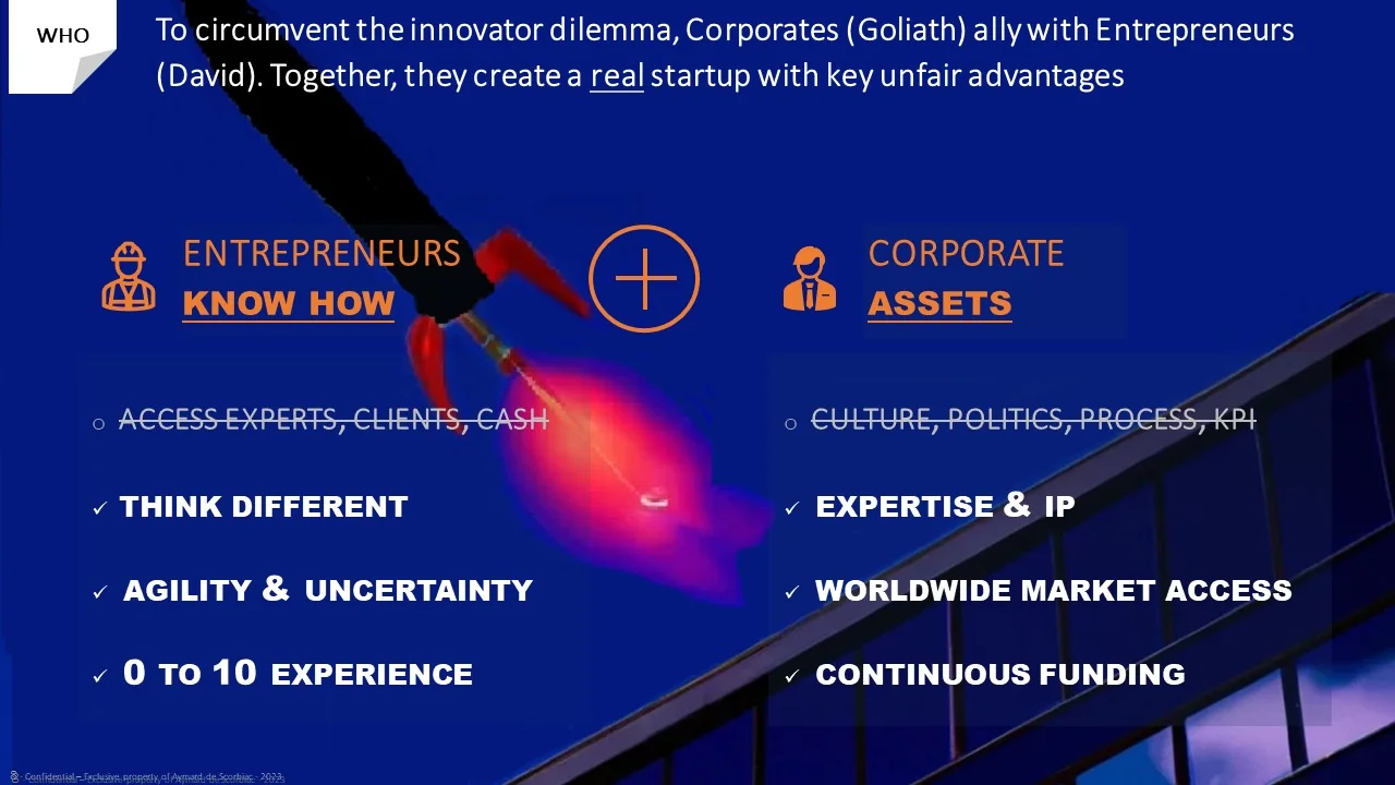 Slide “Who”: the know-how of entrepreneurs combined with the assets of the large group